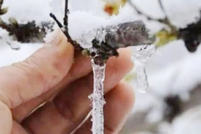 Bursa’da hava sıcaklıkları düşüyor zirai don riski